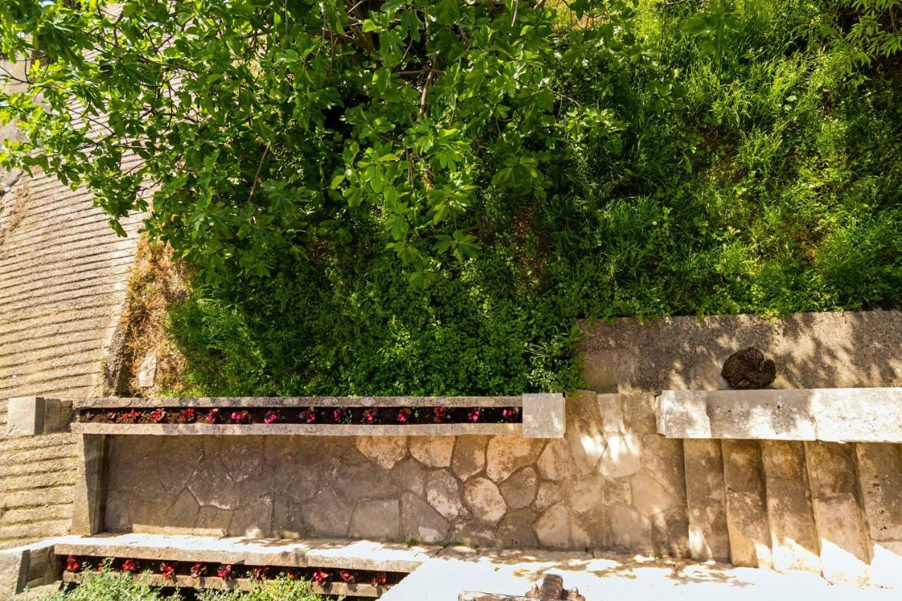 Old Small Stone House Zrnovo Exterior foto